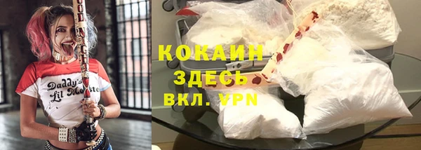 ГАЛЛЮЦИНОГЕННЫЕ ГРИБЫ Новокубанск