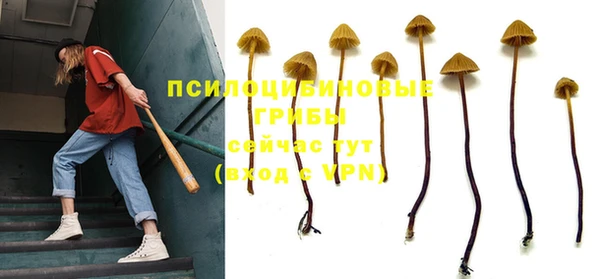 круглые Новозыбков