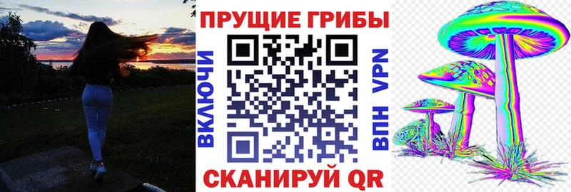 Галлюциногенные грибы Psilocybine cubensis  Фокино 