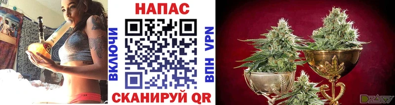 МАРИХУАНА Bruce Banner  Фокино 